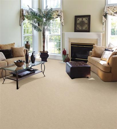 Power Point in Rainsong Carpet
