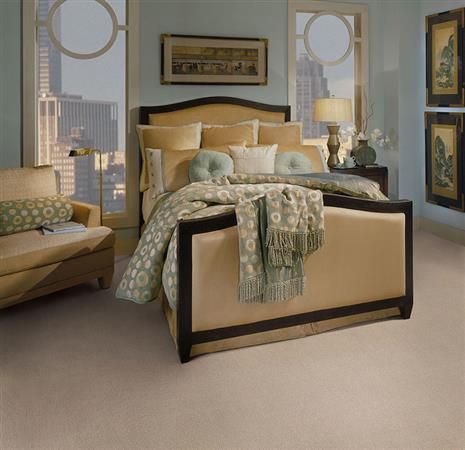 Chez Cte in Champagne Carpet