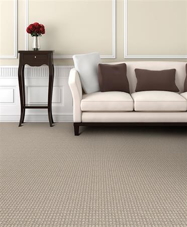 Steadfast in Sahara Carpet