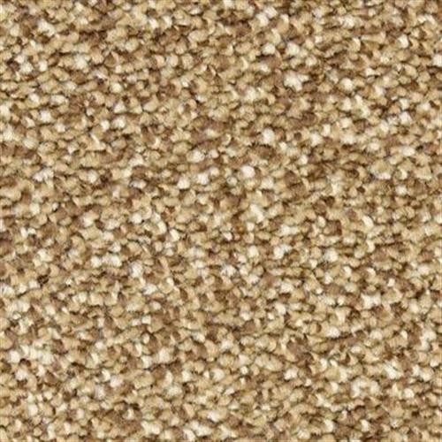Gusto in Chocolate Chip Carpet
