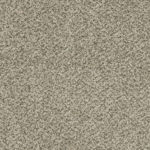 Brazen I in Acadia Carpet