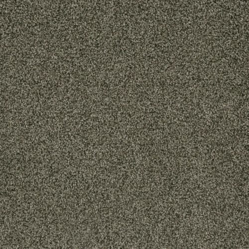 Brazen II in Smokestack Carpet