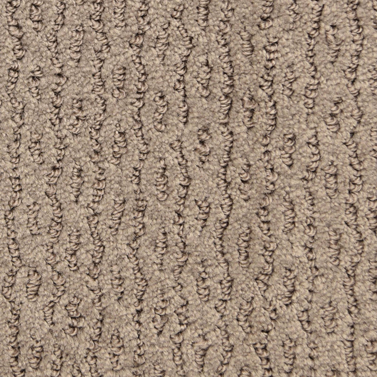 Montalcino in Centro Storico  Carpet