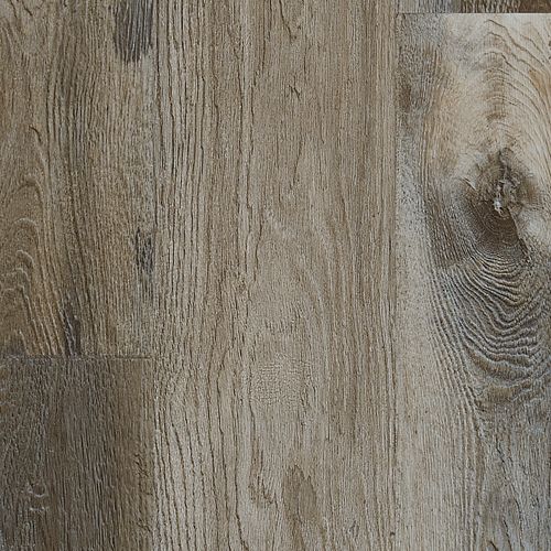 Explorers Cove in Raccoon Luxury Vinyl