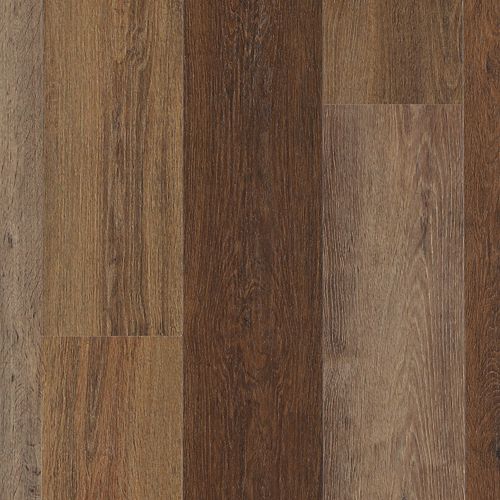Explorers Cove in Shadow Woodlands Luxury Vinyl