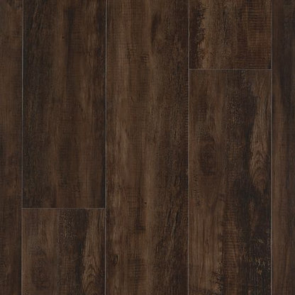 Explorers Cove in Cafe Doppio Luxury Vinyl