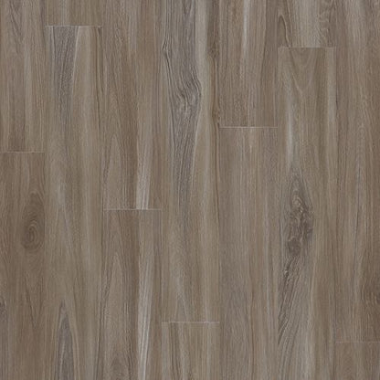 Explorers Cove in Dolphin Luxury Vinyl