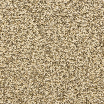 Color Festival in Mill Stone Carpet