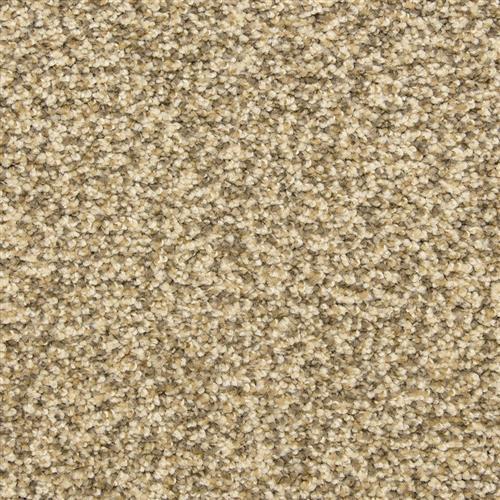 Color Festival in Mill Stone Carpet