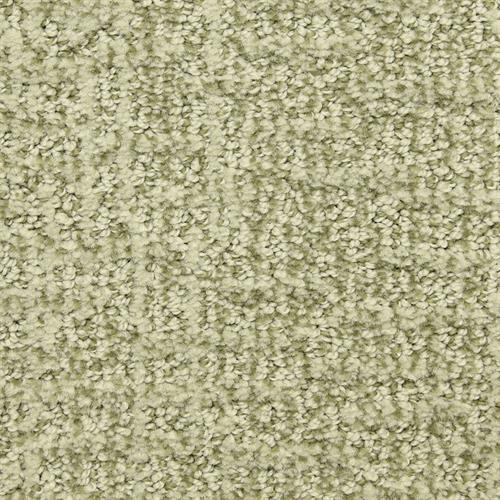 Aspects in Escape Carpet