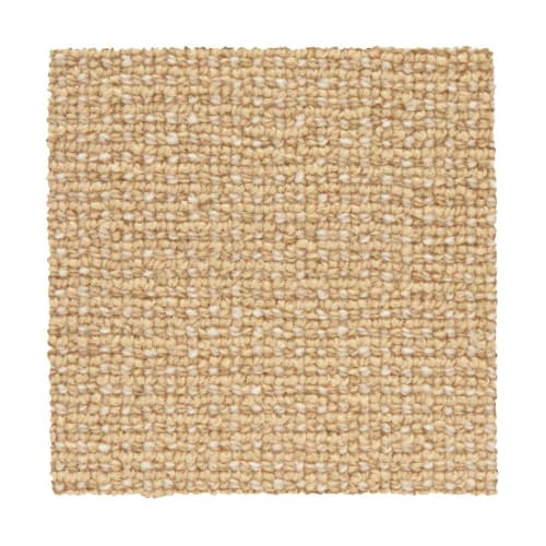 Needlepoint 3 in Beeswax Carpet