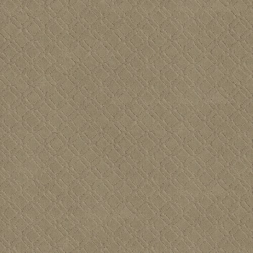 CURIOUS SMILE in Coronado Carpet