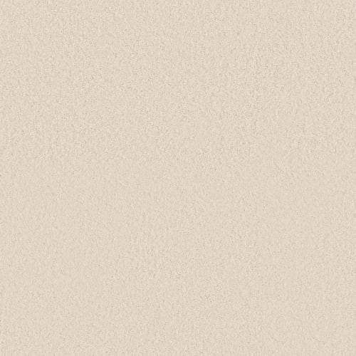 ELEGANT STYLE in Angora Carpet