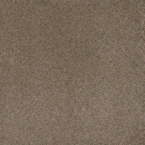 Serene I in Cinnabar Carpet