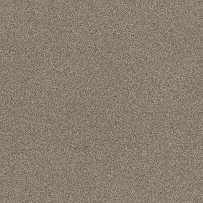 SOOTHING TOUCH in Urban Nature Carpet
