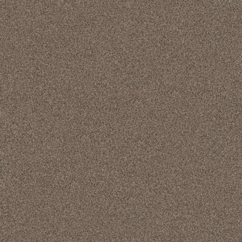 SOFT EMBRACE in Palm Desert Carpet