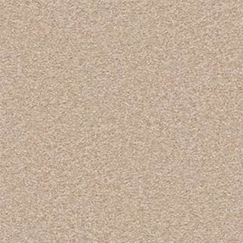 Serenity Beach I 15 in Barn Wood Carpet