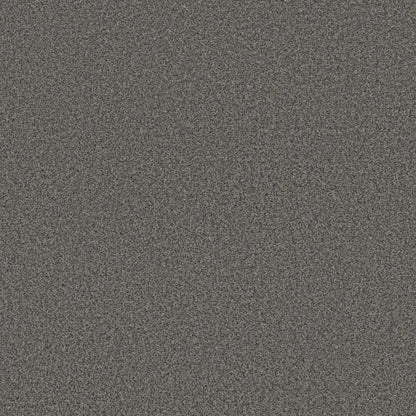 IMPRESSIVE LOOK in Rock Bottom Carpet