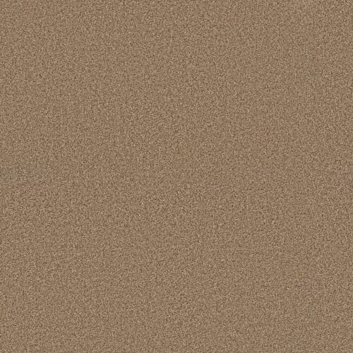 IN BLOSSOM in Toasty Carpet