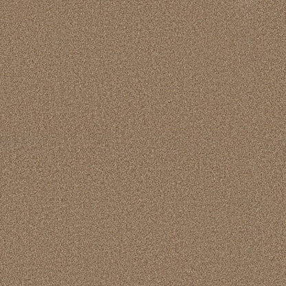IN BLOSSOM in Toasty Carpet