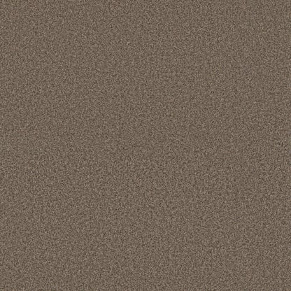 LAST DANCE in Smokehouse Carpet