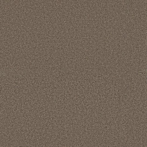 LAST DANCE in Smokehouse Carpet