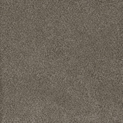 Monte Carlo II in Fawn Carpet