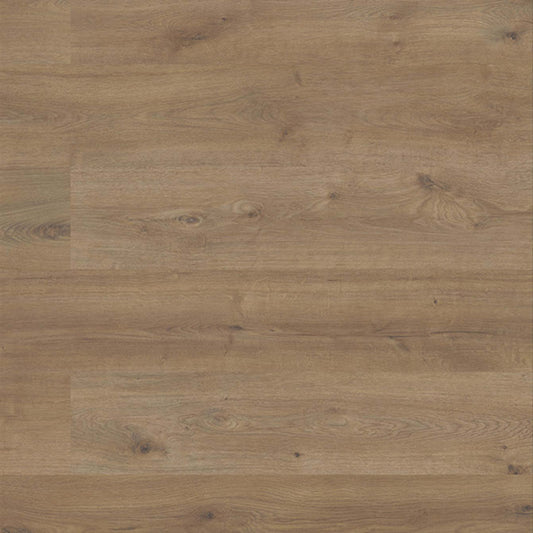 TimbrCORE - Sequoia Collection in Eagle Scout Laminate