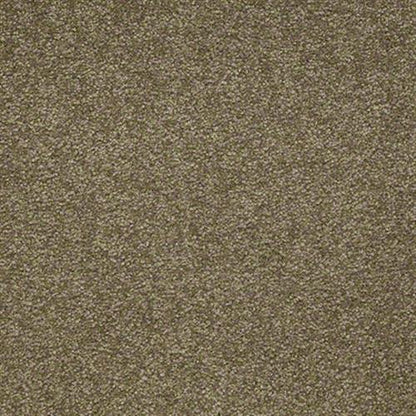 Serenity Beach III 12 in Parsley Carpet