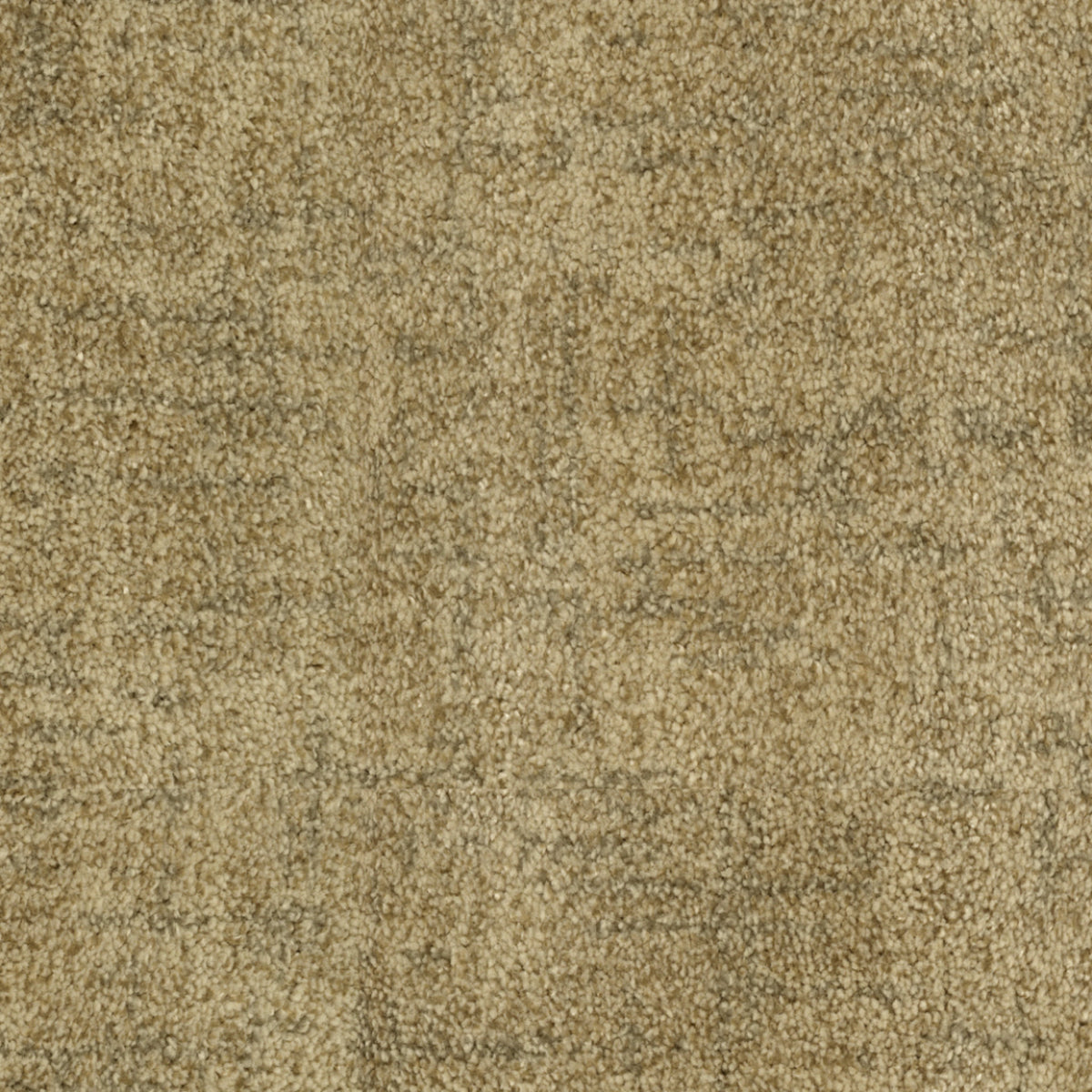 Beverly Hills in Golden Triangle Carpet