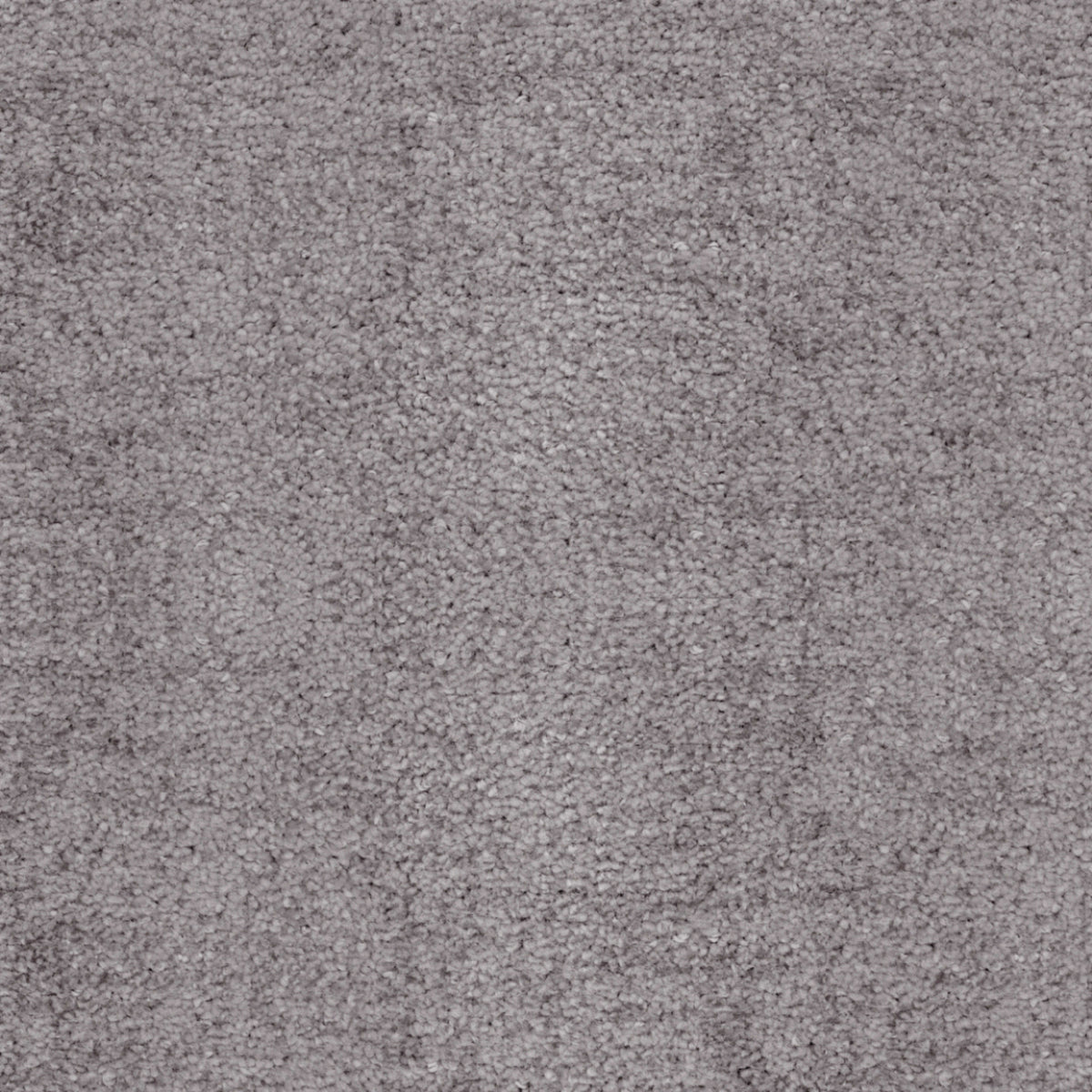 Beverly Hills in Play Vista Carpet