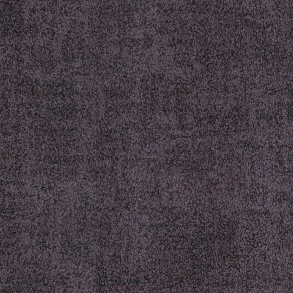 Beverly Hills in Santa Monica Carpet