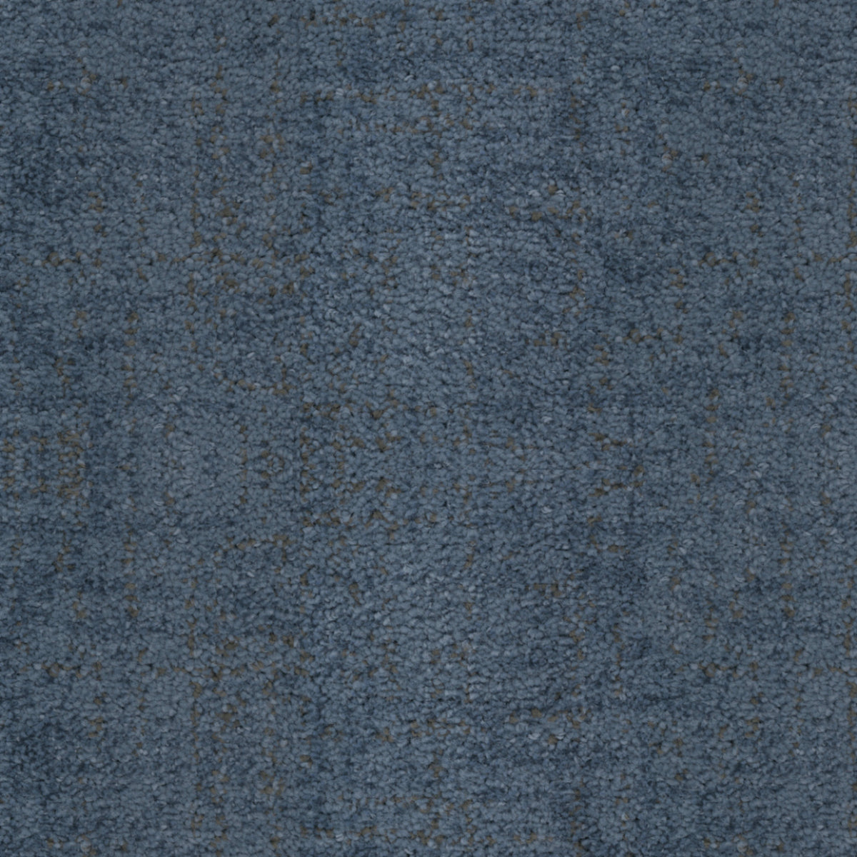 Beverly Hills in Marina Del Rey Carpet