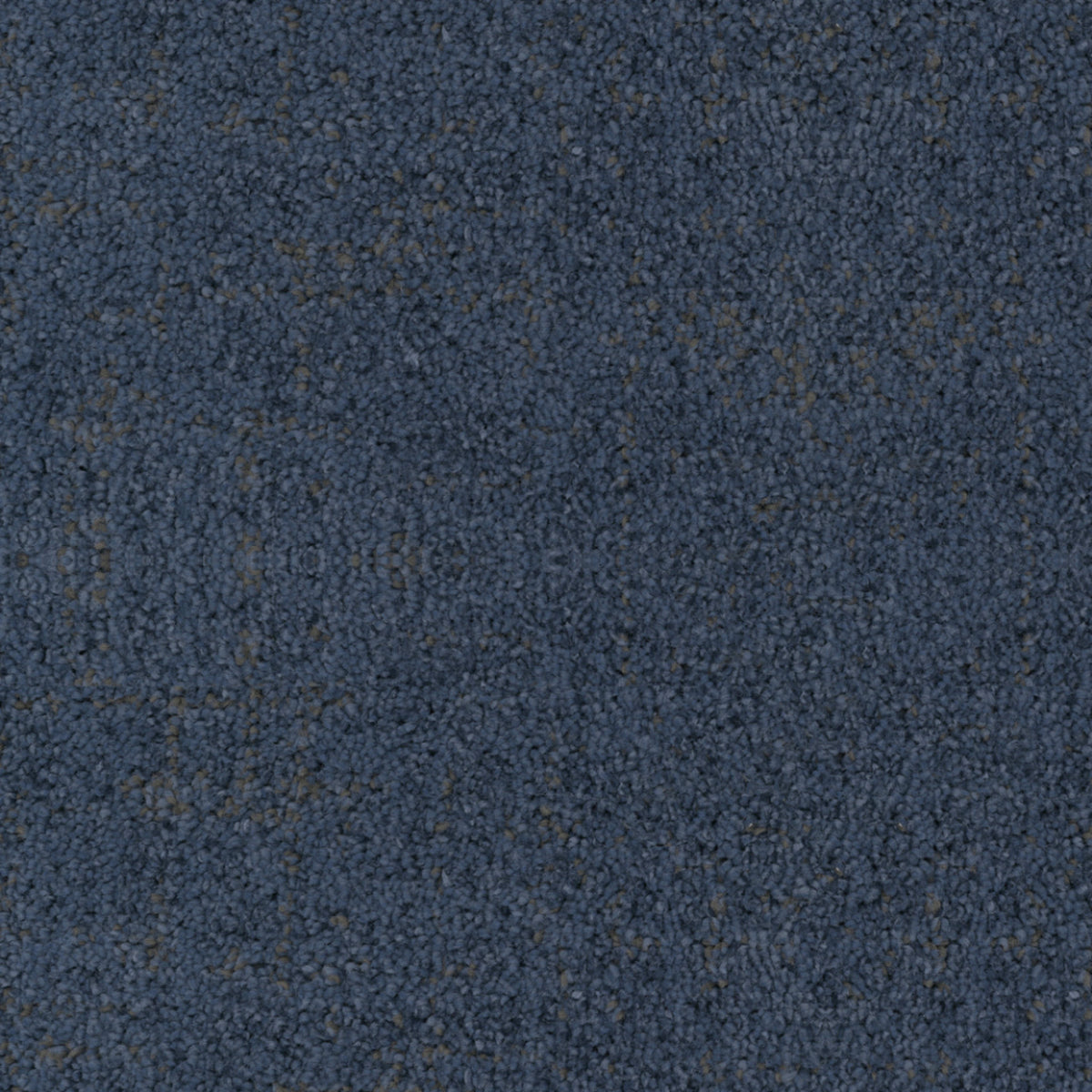 Beverly Hills in Ocean Park Carpet