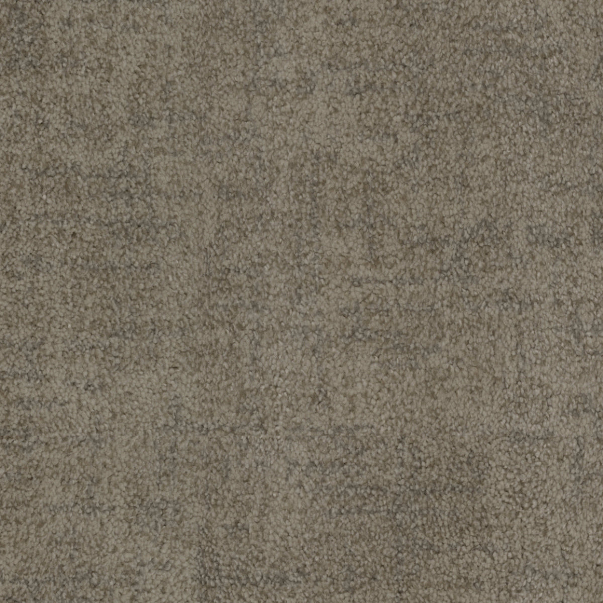 Beverly Hills in Palms Carpet