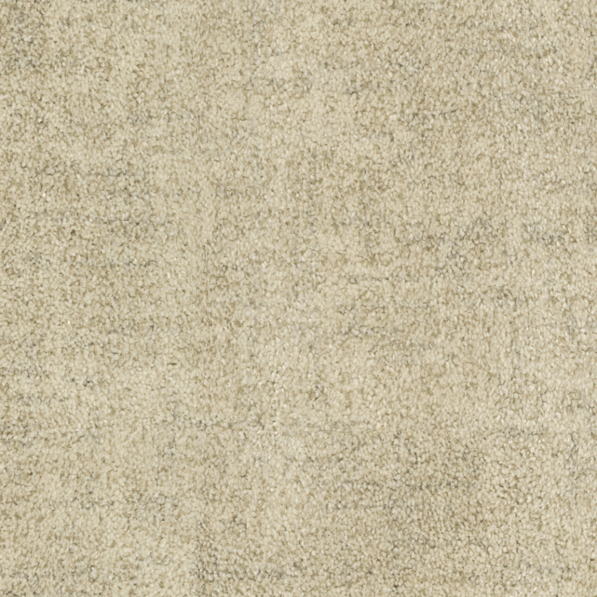Beverly Hills in Sawtelle Carpet