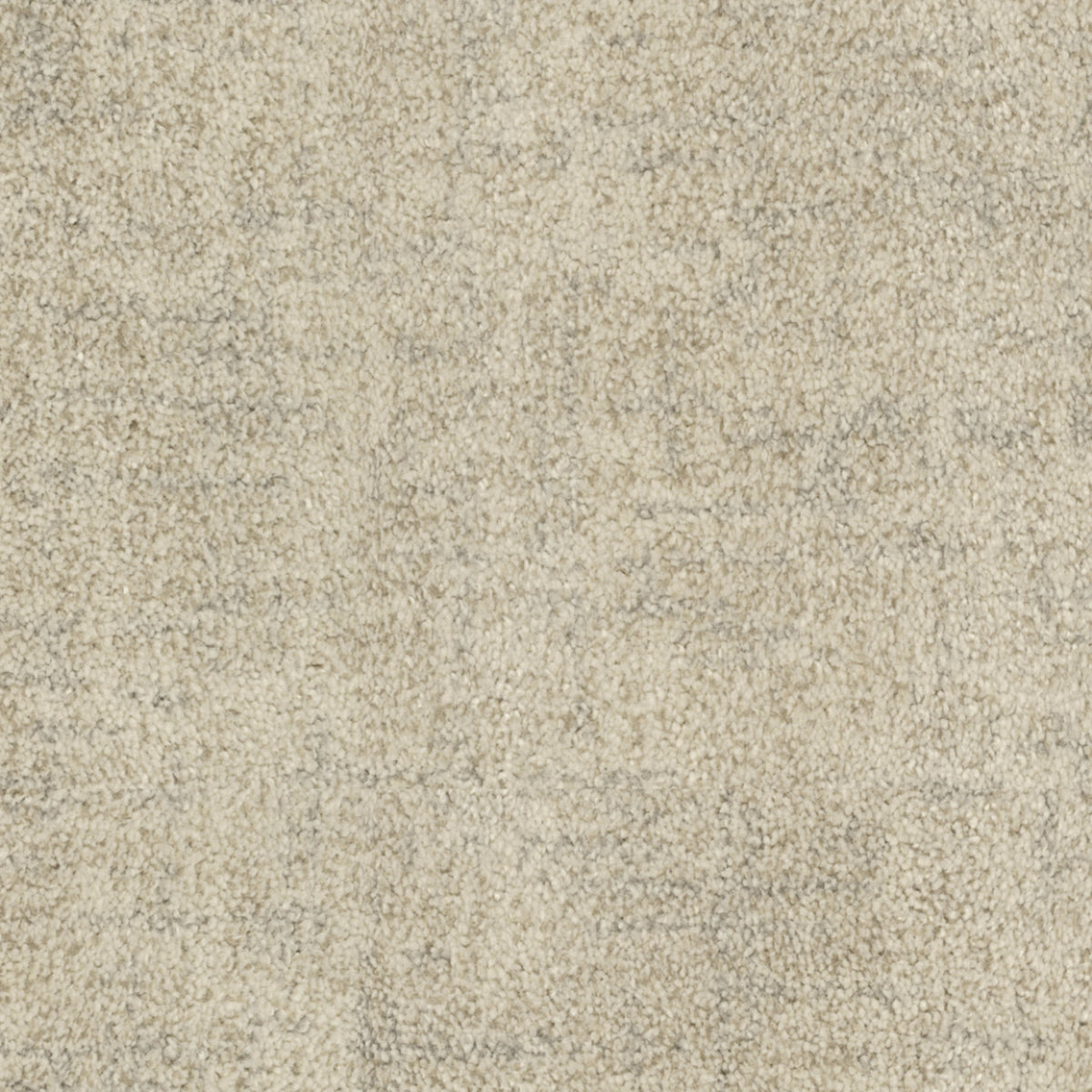 Beverly Hills in West Gate Carpet
