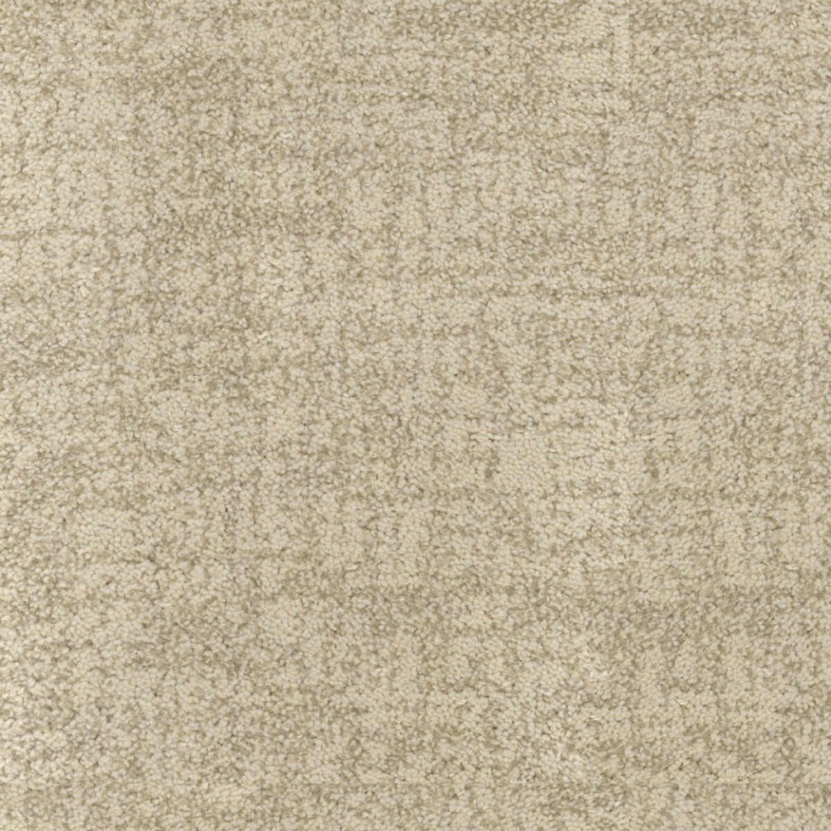 Beverly Hills in Sunset Carpet