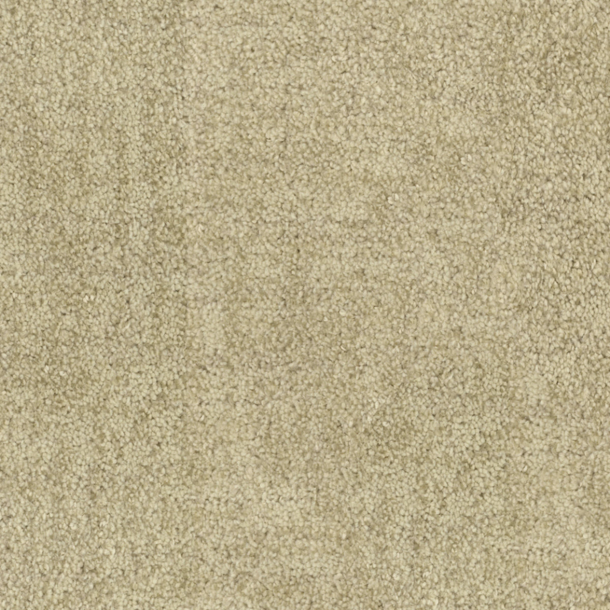 Beverly Hills in Holmby Hills Carpet