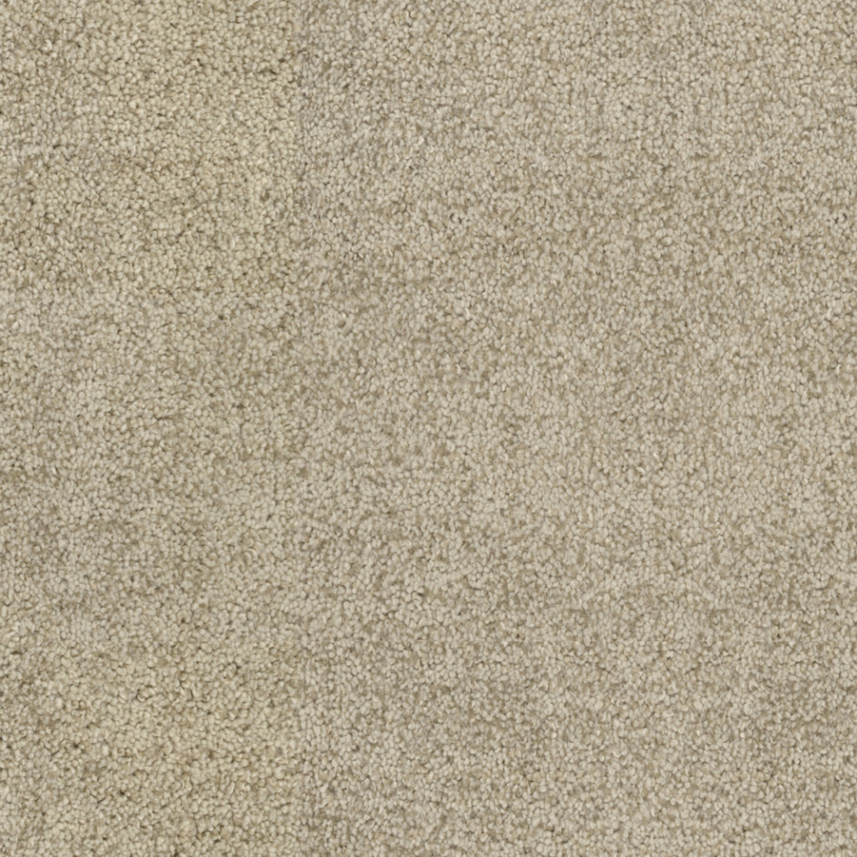 Beverly Hills in Bellagio Carpet