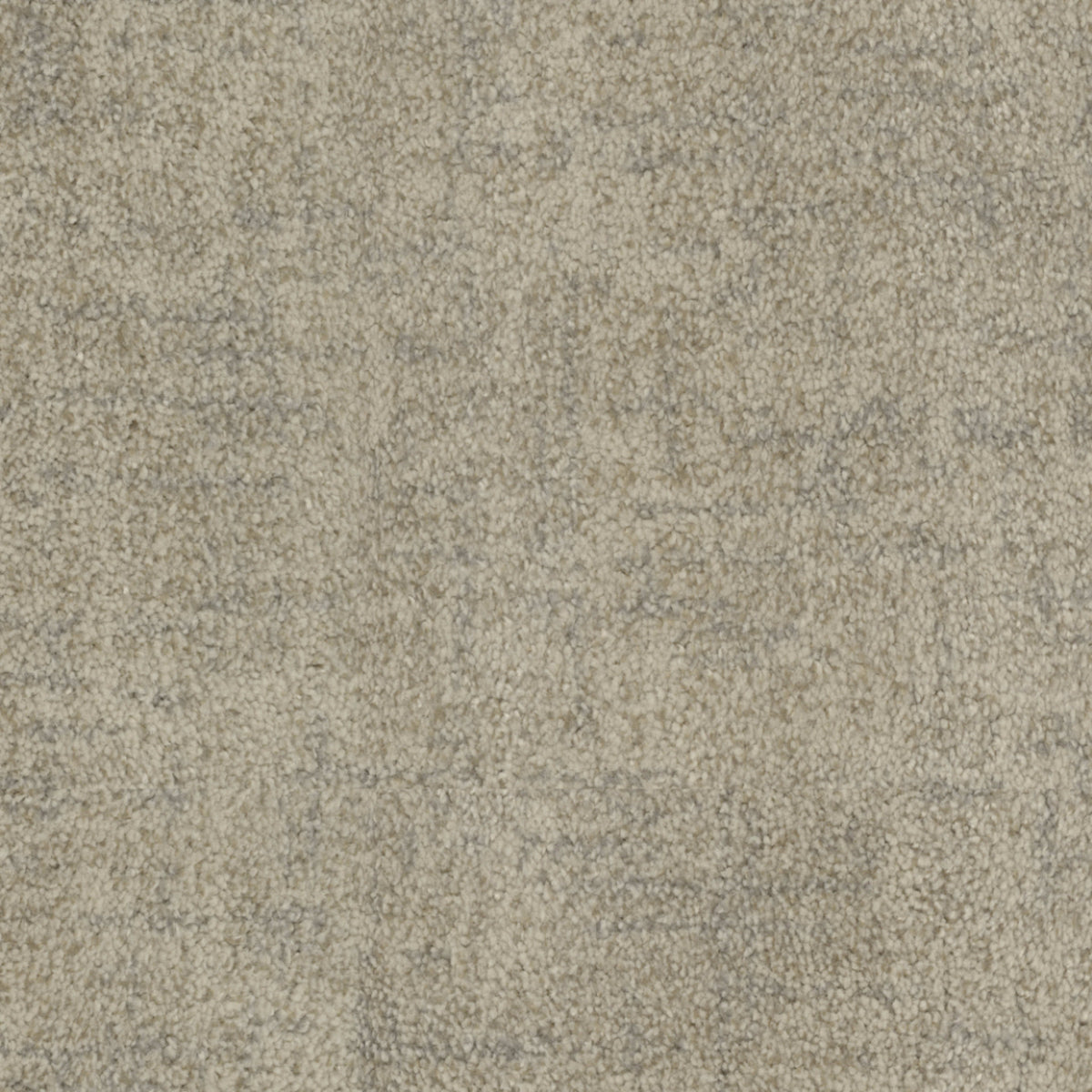 Beverly Hills in Barrington Carpet