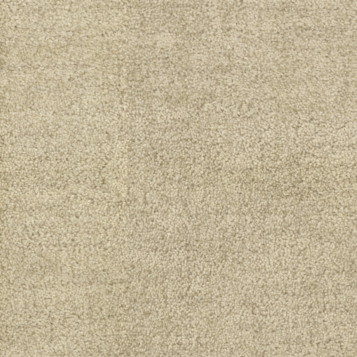 Beverly Hills in East Gate Carpet
