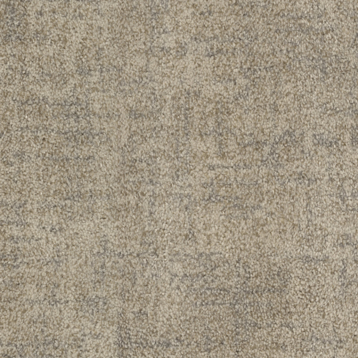 Beverly Hills in Ventura Carpet