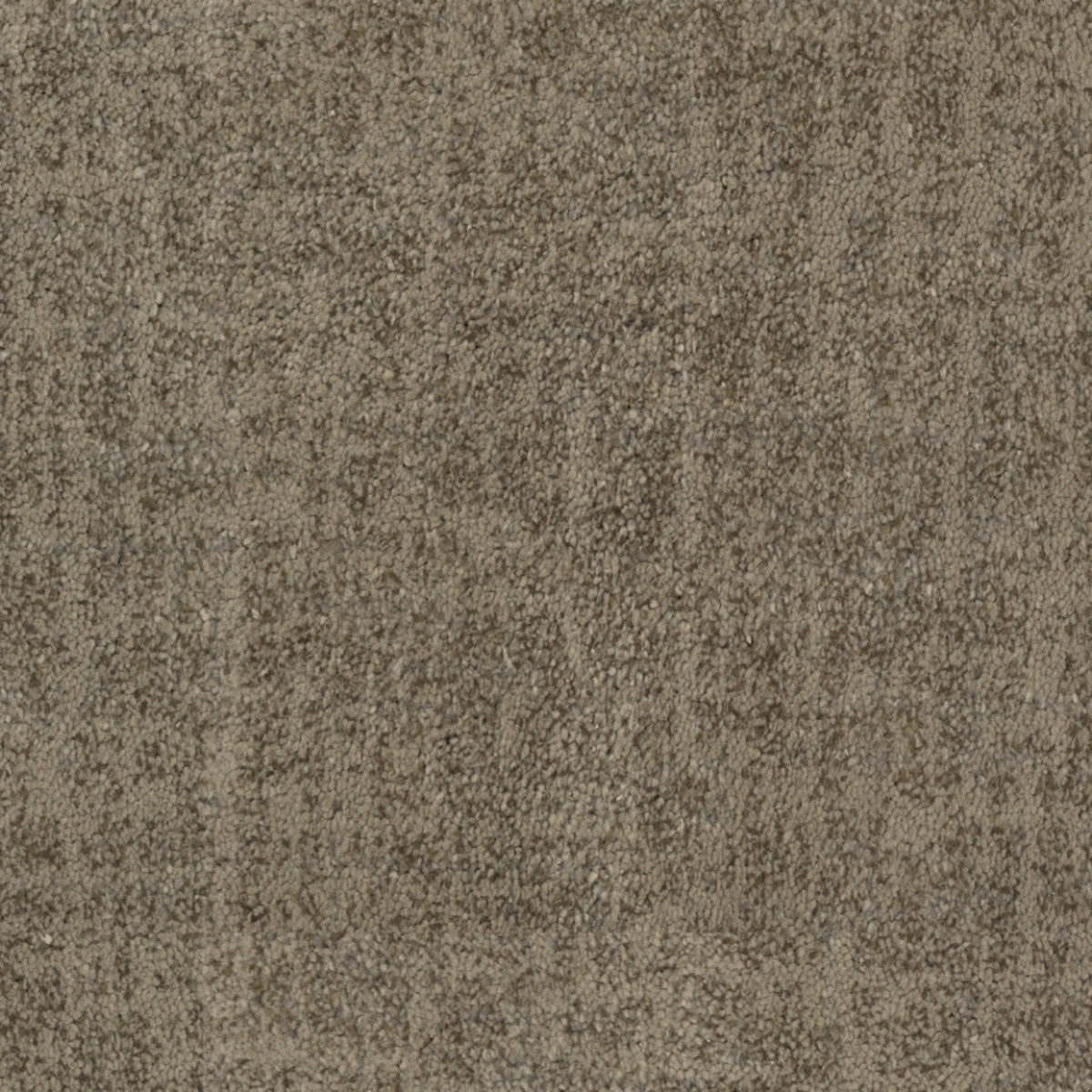 Beverly Hills in Hollywood Carpet