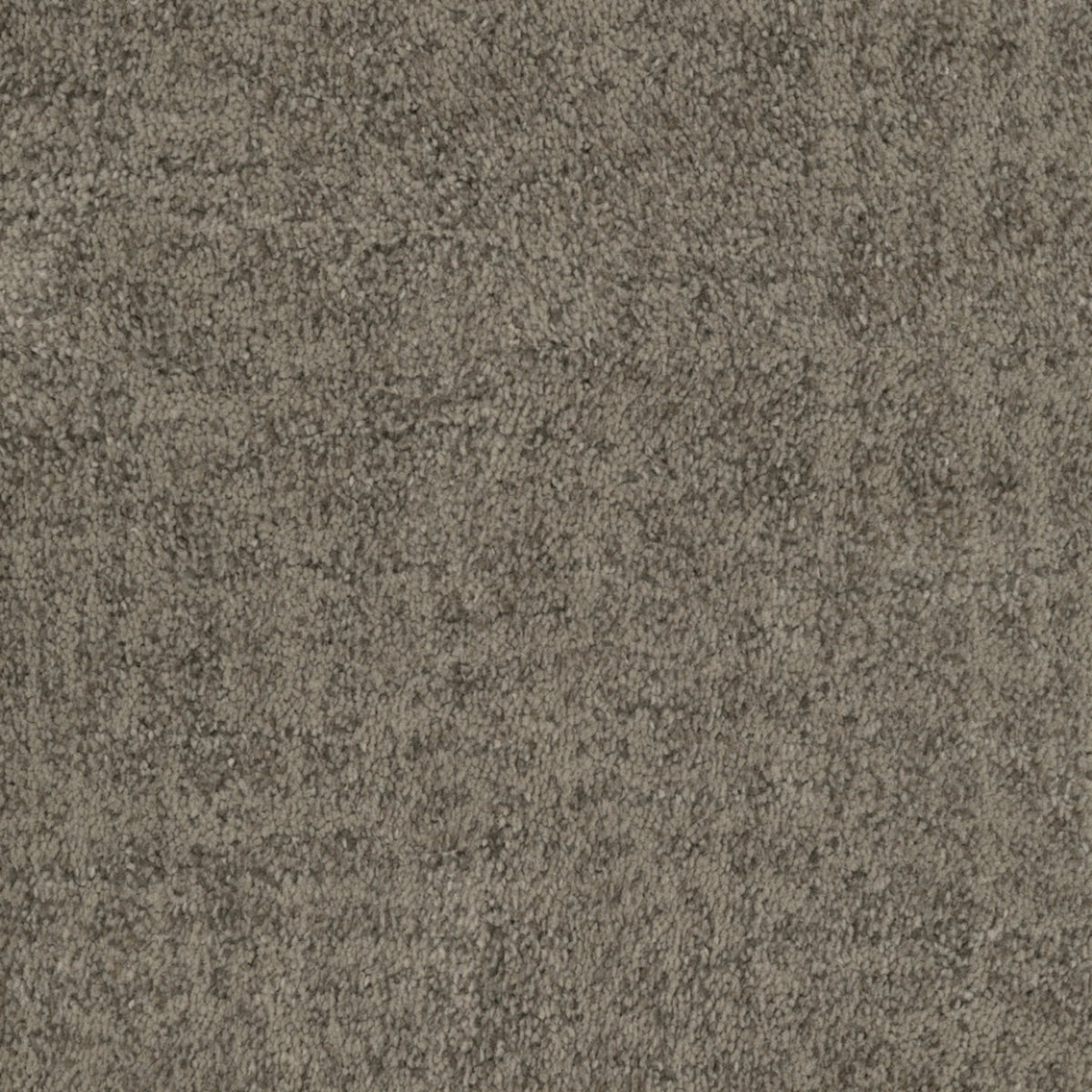 Beverly Hills in Venice Carpet