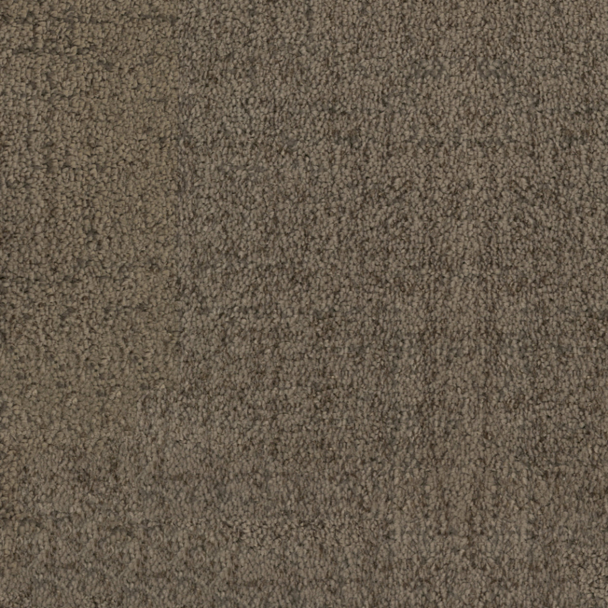Beverly Hills in Brentwood Carpet