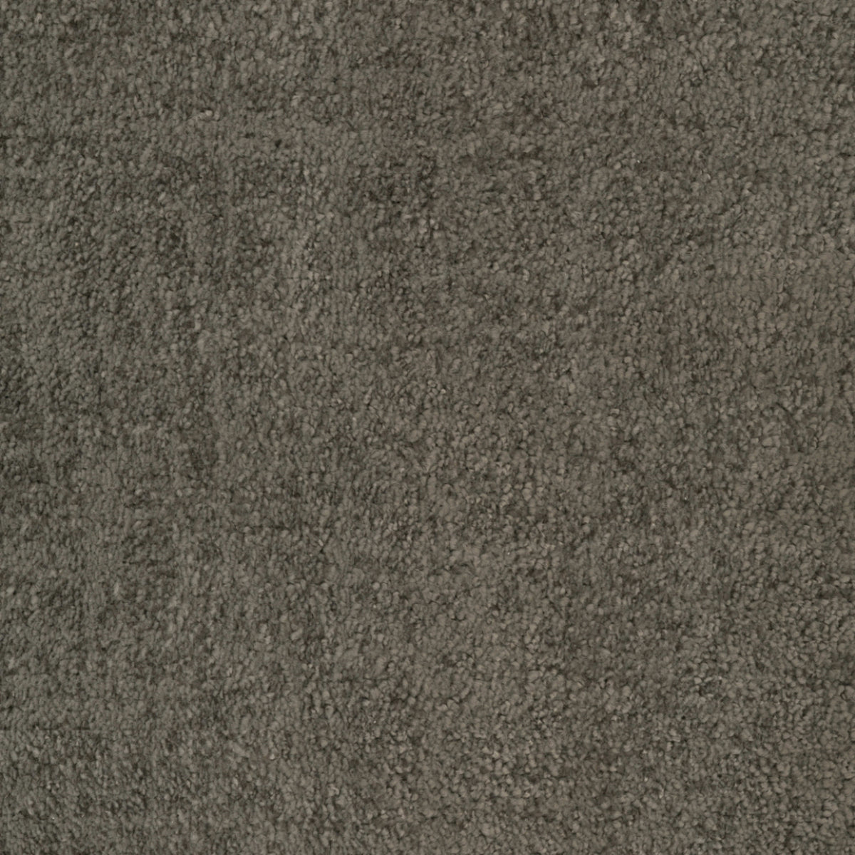 Beverly Hills in Sherman Oaks Carpet