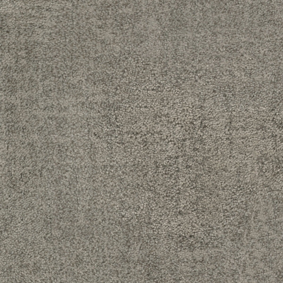 Beverly Hills in Platinum Triangle Carpet