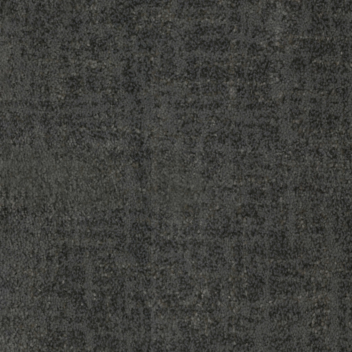 Beverly Hills in Rodeo Drive Carpet