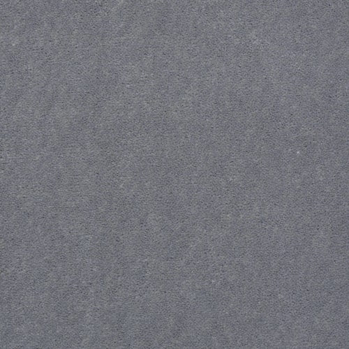 Traditinalval36 in Platinum Carpet
